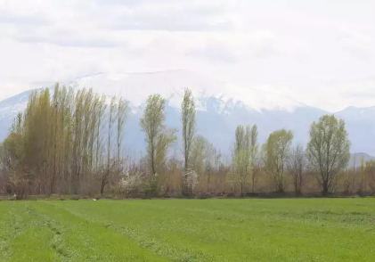 Foto - Türkiye'nin en verimli ovasında ülkeyi sarsacak gelişme! Çiftçiye 'ekim yapmayın' mesajı gönderildi