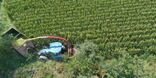 Foto - Türkiye'nin en verimli ovasında ülkeyi sarsacak gelişme! Çiftçiye 'ekim yapmayın' mesajı gönderildi