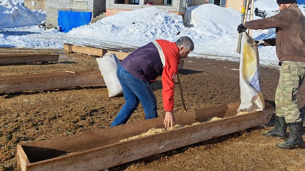 Foto - Türkiye'nin en yüksek rakımlı köyünde zorlu mesai