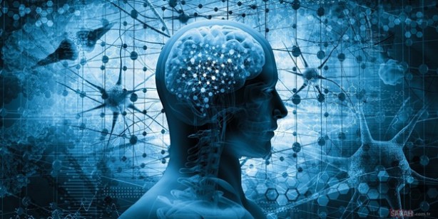 Türkiye'nin en zekileri hangi şehirlerde yaşıyor? İşte IQ ortalaması en yüksek 20 ilimiz