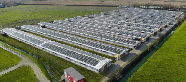 Foto - Türkiye'nin enerji devi konkordato ilan etti! Reklamları televizyon kanallarında dönüyordu, duyan inanamadı