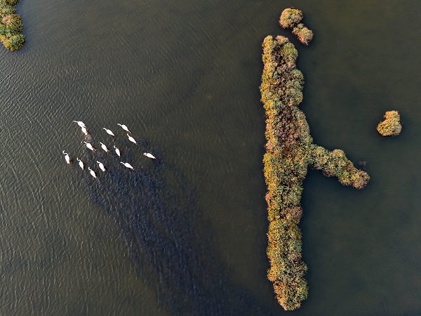 Foto - Türkiye’nin gizli cenneti: Çakalburnu Lagünü