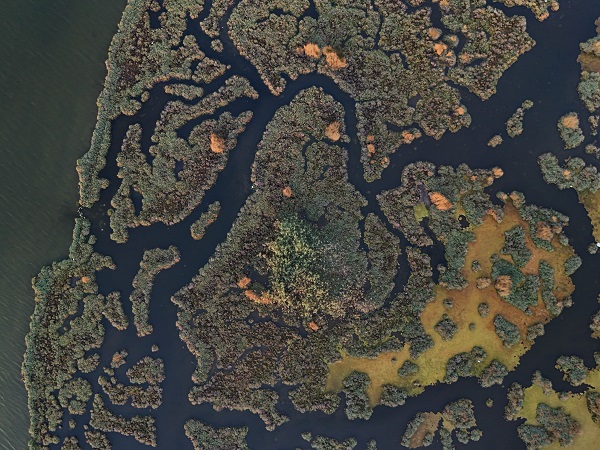 Türkiye’nin gizli cenneti: Çakalburnu Lagünü