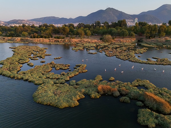 Foto - Türkiye’nin gizli cenneti: Çakalburnu Lagünü