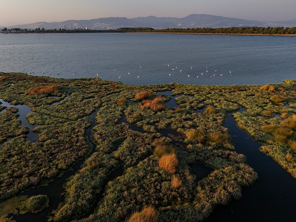Foto - Türkiye’nin gizli cenneti: Çakalburnu Lagünü