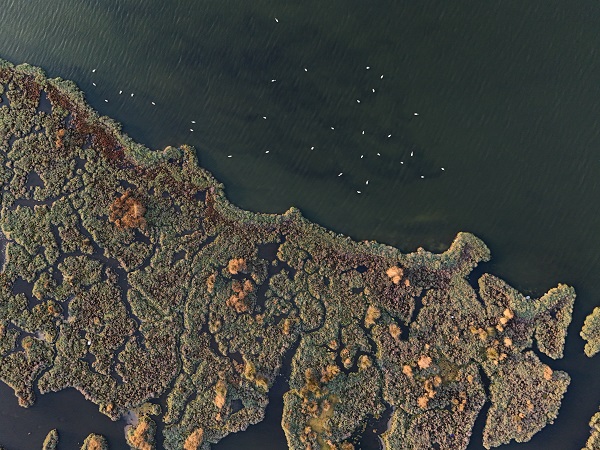 Foto - Türkiye’nin gizli cenneti: Çakalburnu Lagünü