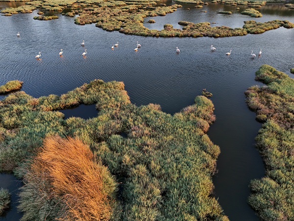 Foto - Türkiye’nin gizli cenneti: Çakalburnu Lagünü