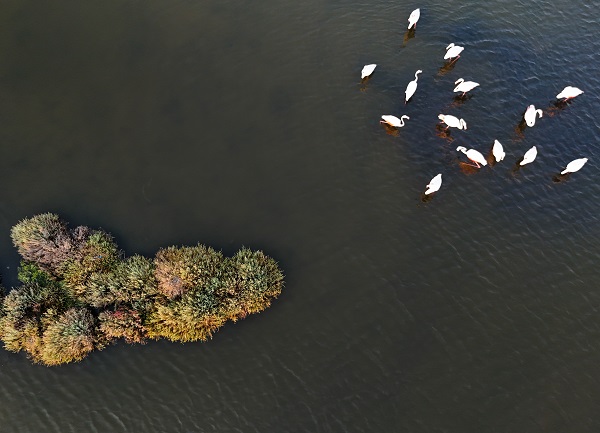 Foto - Türkiye’nin gizli cenneti: Çakalburnu Lagünü