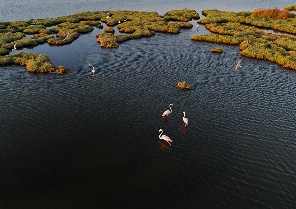 Foto - Türkiye’nin gizli cenneti: Çakalburnu Lagünü