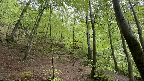 Foto - Türkiye'nin gizli cenneti: Saklıkent Şelalesi