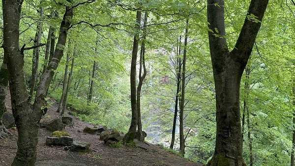 Foto - Türkiye'nin gizli cenneti: Saklıkent Şelalesi