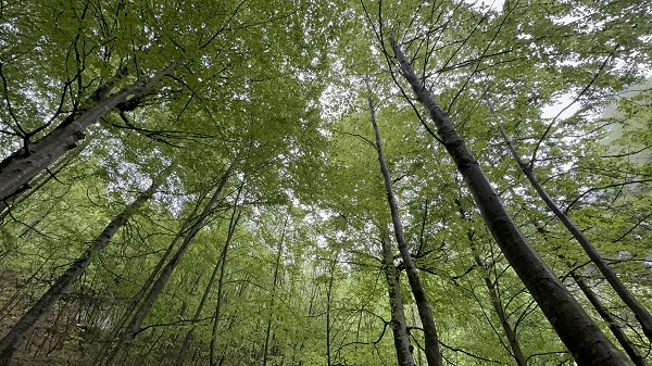 Foto - Türkiye'nin gizli cenneti: Saklıkent Şelalesi