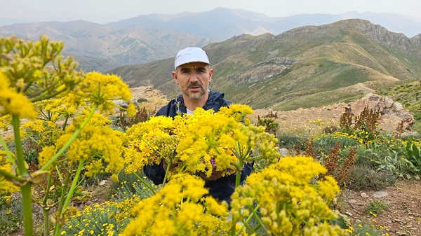Foto - Türkiye'nin gizli cenneti: Zoveser Dağı