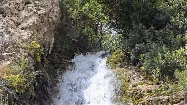 Foto - Türkiye'nin gizli cenneti: Zoveser Dağı