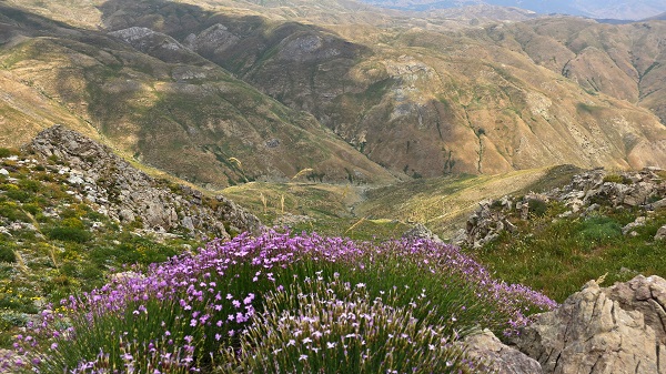 Foto - Türkiye'nin gizli cenneti: Zoveser Dağı