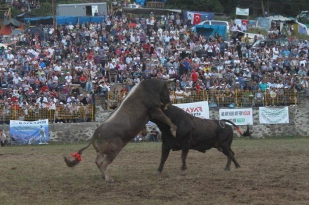 Foto - Türkiye'nin hangi ili neyiyle tanınıyor?