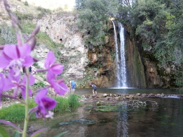 Foto - Türkiye'nin hangi ili neyiyle tanınıyor?