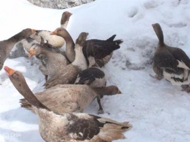 Foto - Türkiye'nin hangi ili neyiyle tanınıyor?