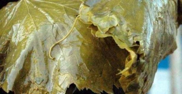 Foto - Türkiye'nin hangi ili neyiyle tanınıyor?