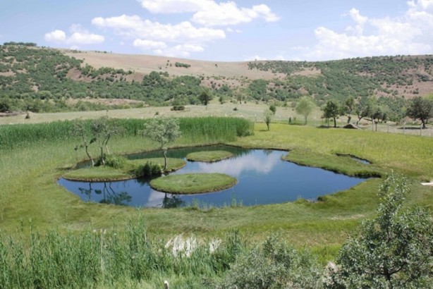 Foto - Türkiye'nin hangi ili neyiyle tanınıyor?