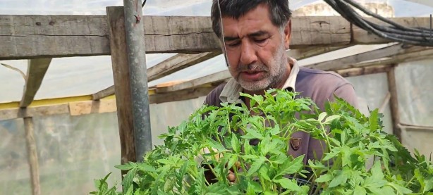 Foto - Türkiye’nin her bölgesinden alan var! Küçük bi̇r yerde başladı şi̇mdi̇ kargolara yeti̇şemi̇yor