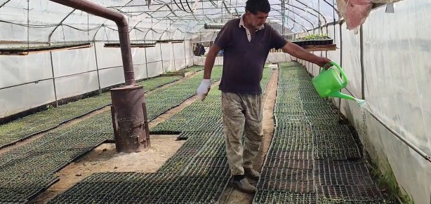 Foto - Türkiye’nin her bölgesinden alan var! Küçük bi̇r yerde başladı şi̇mdi̇ kargolara yeti̇şemi̇yor