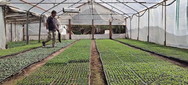 Türkiye’nin her bölgesinden alan var! Küçük bi̇r yerde başladı şi̇mdi̇ kargolara yeti̇şemi̇yor