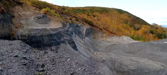 Foto - Hindistan Türkiye'nin her yerinden fışkıran madene talip oldu! Acil olarak almak istiyorlar
