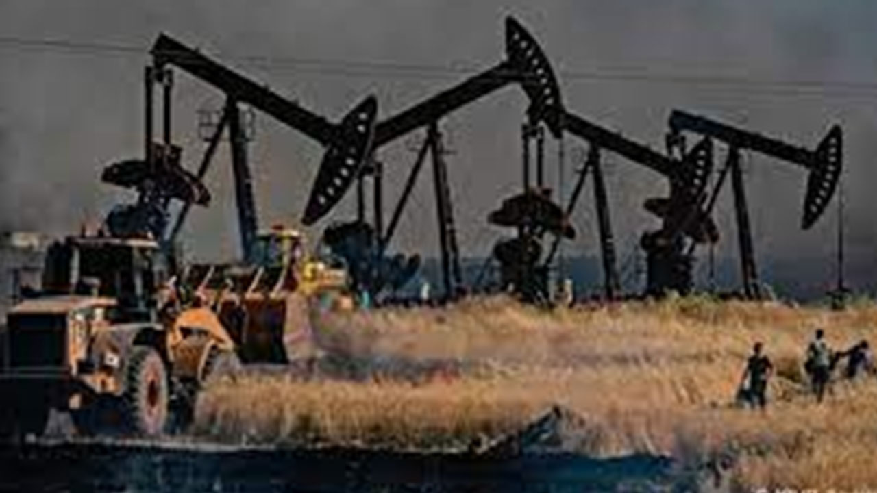 Türkiye'nin ihtiyacı olan petrolün yarısı burada! Ne kadar kar ettikleri ortaya çıktı