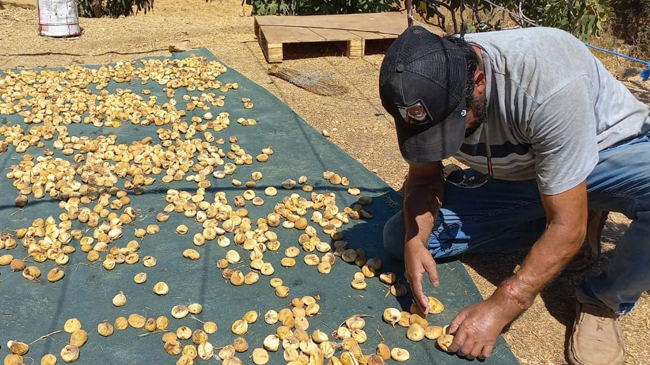 Foto - Türkiye’nin ilk çift kol nakli hastası! Başkasının kollarıyla hayallerine kavuştu