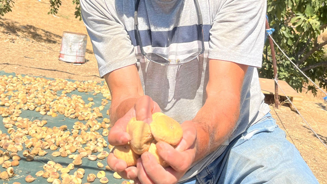 Foto - Türkiye’nin ilk çift kol nakli hastası! Başkasının kollarıyla hayallerine kavuştu