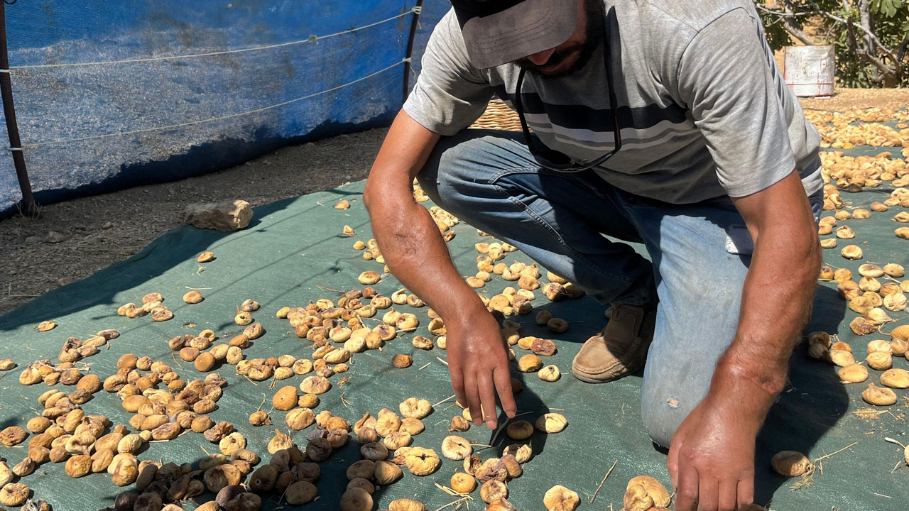 Foto - Türkiye’nin ilk çift kol nakli hastası! Başkasının kollarıyla hayallerine kavuştu
