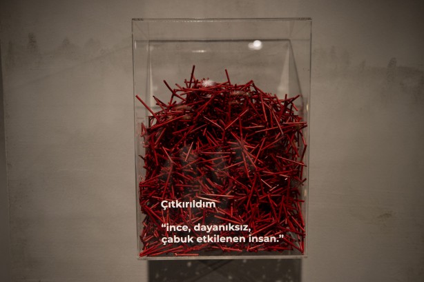 Foto - Türkiye'nin ilk 'Kelime Müzesi' açıldı