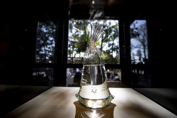 Foto - Türkiye'nin ilk 'Kelime Müzesi' açıldı