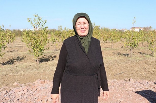Foto - Türkiye’nin ilk 'meyve' temalı millet bahçesi!