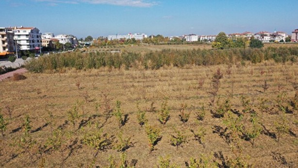Foto - Türkiye’nin ilk 'meyve' temalı millet bahçesi!