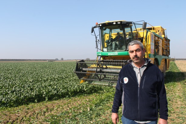 Foto - Türkiye’nin ıspanak ihtiyacının 4’te 1’ini bakın hangi şehir karşılıyor