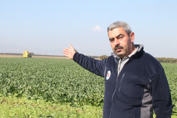 Foto - Türkiye’nin ıspanak ihtiyacının 4’te 1’ini bakın hangi şehir karşılıyor