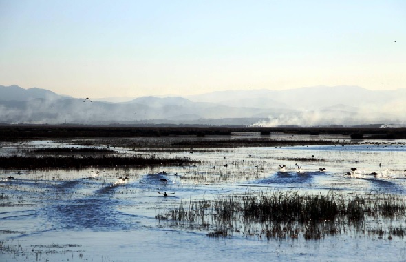 Foto - Türkiye’nin kalbi: Kızılırmak Deltası