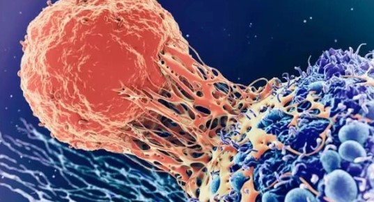 Foto - Türkiye'nin kanser haritası belli oldu! İşte en çok ölümlerin olduğu iller!