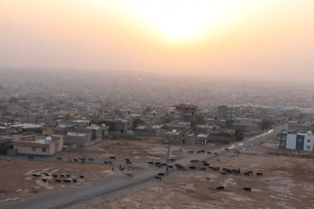 Foto - Türkiyenin "kanser haritası": En çok bu ilde görülüyor! Ölüm oranın en yüksek olduğu şehir...