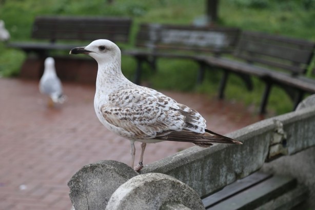 Foto - Türkiye'nin maden ocağı: Zonguldak