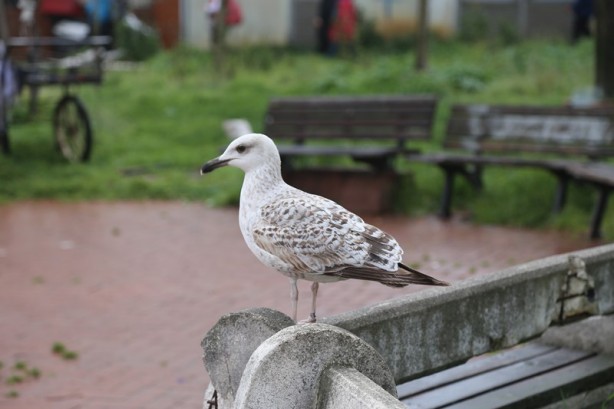 Foto - Türkiye'nin maden ocağı: Zonguldak