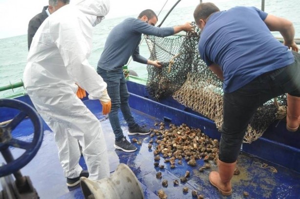 Foto - Türkiye’nin o bölgesinde deli gibi var! Avrupa ve Uzak Doğu'ya çılgınlar gibi satıyoruz! Bütün dünya, onun için kapımızda yatıyor