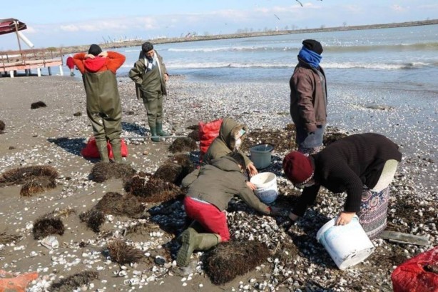 Foto - Türkiye’nin o bölgesinde deli gibi var! Avrupa ve Uzak Doğu'ya çılgınlar gibi satıyoruz! Bütün dünya, onun için kapımızda yatıyor