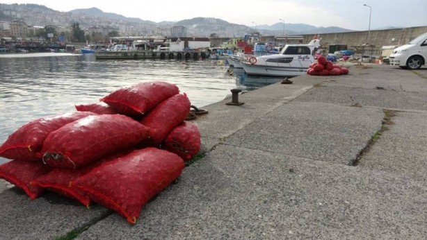 Foto - Türkiye’nin o bölgesinde deli gibi var! Avrupa ve Uzak Doğu'ya çılgınlar gibi satıyoruz! Bütün dünya, onun için kapımızda yatıyor