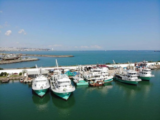 Foto - Türkiye’nin o bölgesinde deli gibi var! Avrupa ve Uzak Doğu'ya çılgınlar gibi satıyoruz! Bütün dünya, onun için kapımızda yatıyor