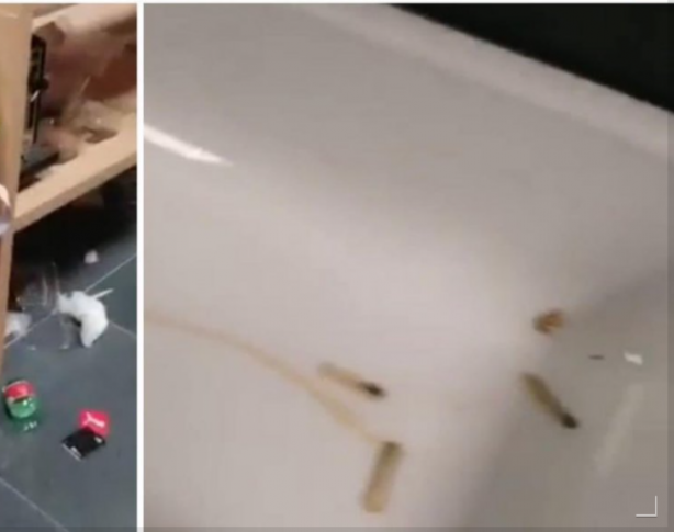 Foto - Türkiye'nin rakibi İtalya'nın soyunma odasında skandal görüntüler! Açıklama geldi