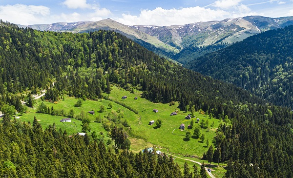 Foto - Türkiye'nin saklı cenneti: Kumanında Yaylası