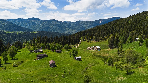 Foto - Türkiye'nin saklı cenneti: Kumanında Yaylası